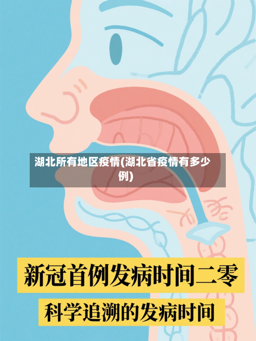 湖北所有地区疫情(湖北省疫情有多少例)