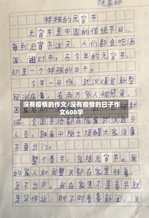 没有疫情的作文/没有疫情的日子作文600字-第3张图片