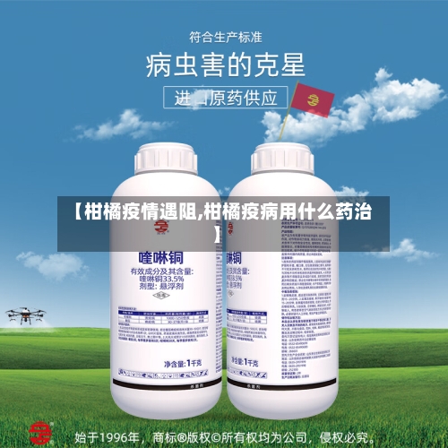 【柑橘疫情遇阻,柑橘疫病用什么药治】