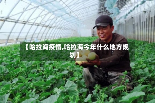 【哈拉海疫情,哈拉海今年什么地方规划】