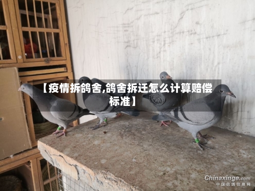 【疫情拆鸽舍,鸽舍拆迁怎么计算赔偿标准】