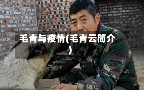 毛青与疫情(毛青云简介)-第2张图片