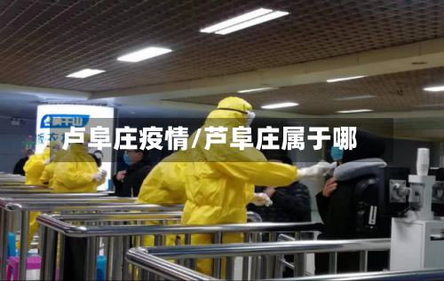 卢阜庄疫情/芦阜庄属于哪