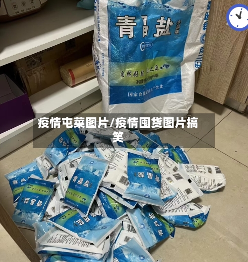 疫情屯菜图片/疫情囤货图片搞笑-第3张图片