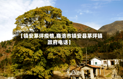 【镇安茅坪疫情,商洛市镇安县茅坪镇政府电话】