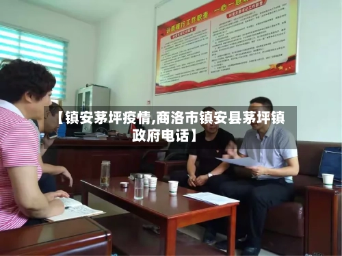 【镇安茅坪疫情,商洛市镇安县茅坪镇政府电话】-第2张图片