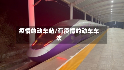疫情的动车站/有疫情的动车车次