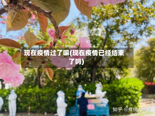 现在疫情过了嘛(现在疫情已经结束了吗)-第2张图片