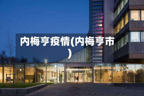 内梅亨疫情(内梅亨市)-第2张图片
