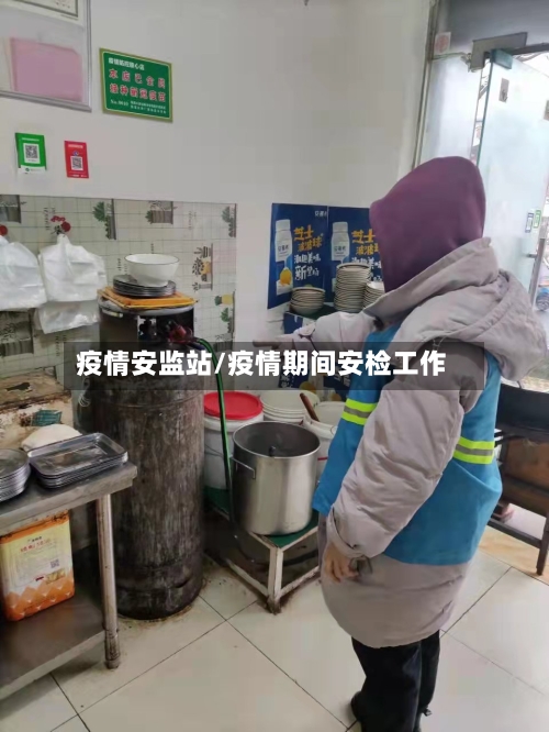 疫情安监站/疫情期间安检工作