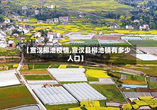 【宣汉柳池疫情,宣汉县柳池镇有多少人口】