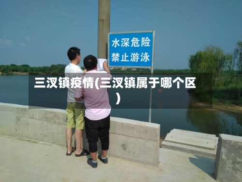 三汊镇疫情(三汊镇属于哪个区)-第3张图片
