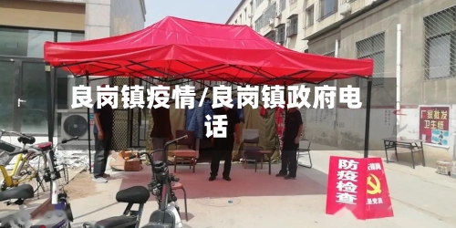 良岗镇疫情/良岗镇政府电话