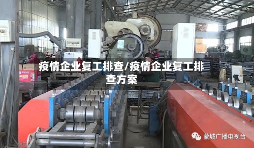 疫情企业复工排查/疫情企业复工排查方案