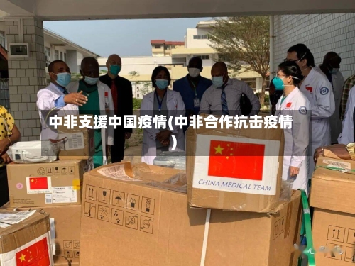 中非支援中国疫情(中非合作抗击疫情)-第2张图片