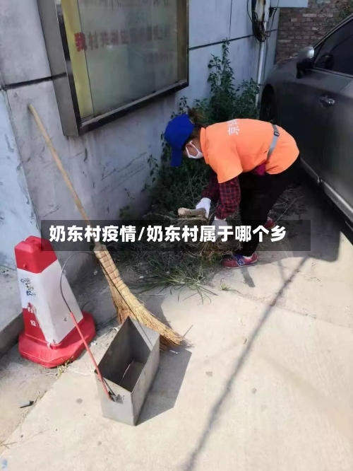 奶东村疫情/奶东村属于哪个乡-第2张图片