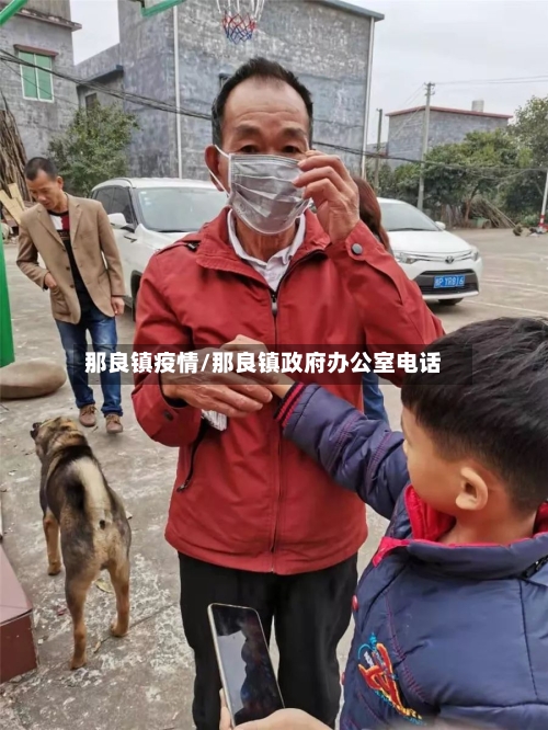 那良镇疫情/那良镇政府办公室电话-第3张图片