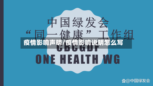 疫情影响声明/疫情影响说明怎么写-第2张图片