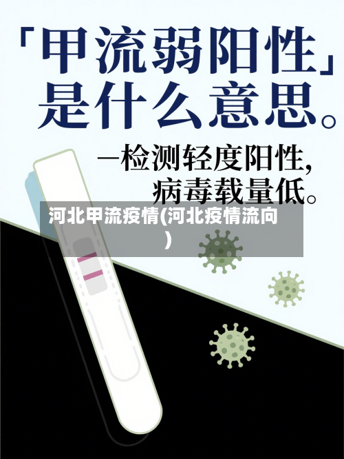 河北甲流疫情(河北疫情流向)-第2张图片