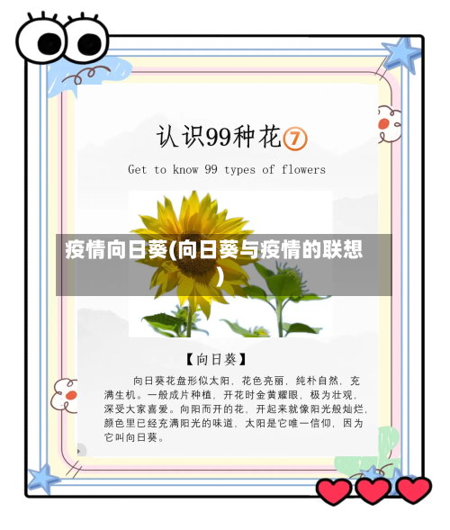 疫情向日葵(向日葵与疫情的联想)-第3张图片