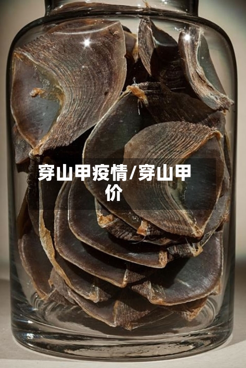 穿山甲疫情/穿山甲价