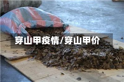 穿山甲疫情/穿山甲价-第3张图片