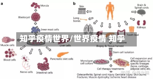 知乎疫情世界/世界疫情 知乎