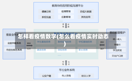 怎样看疫情数字(怎么看疫情实时动态)-第3张图片