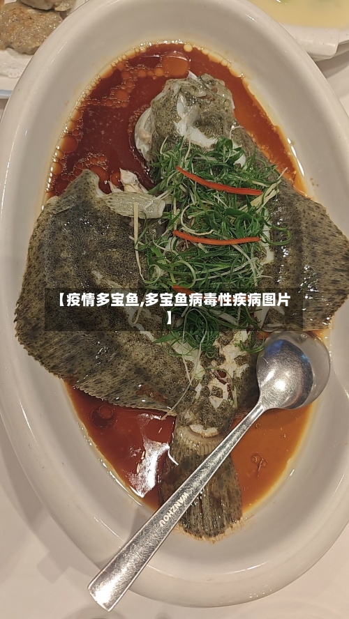 【疫情多宝鱼,多宝鱼病毒性疾病图片】