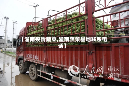 【潼南疫情蔬菜,潼南蔬菜基地联系电话】