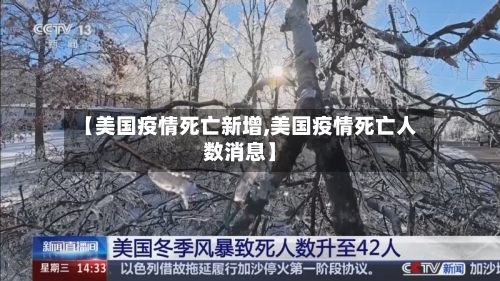 【美国疫情死亡新增,美国疫情死亡人数消息】-第2张图片