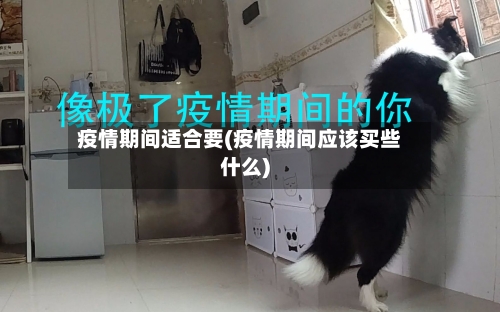 疫情期间适合要(疫情期间应该买些什么)