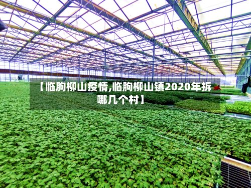 【临朐柳山疫情,临朐柳山镇2020年拆哪几个村】