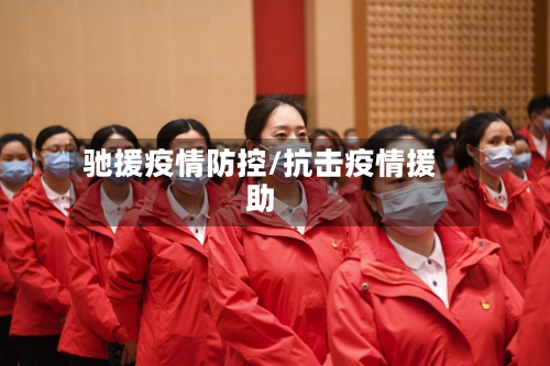 驰援疫情防控/抗击疫情援助-第2张图片