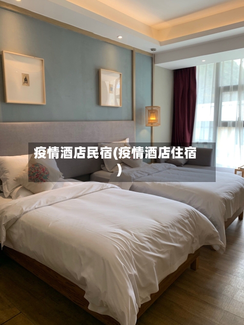 疫情酒店民宿(疫情酒店住宿)