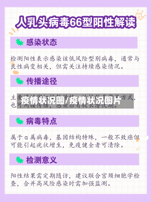 疫情状况图/疫情状况图片