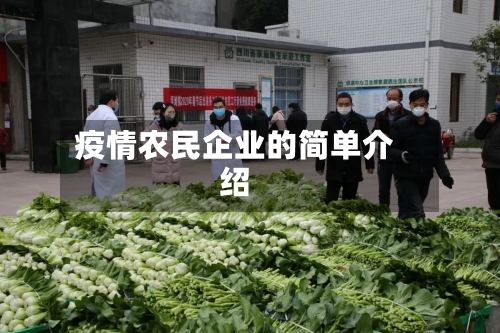 疫情农民企业的简单介绍