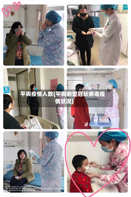 平舆疫情人数(平舆新型冠状病毒疫情状况)