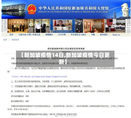 【新加坡疫情14日,新加坡疫情今日更新】-第2张图片