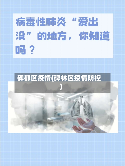 碑都区疫情(碑林区疫情防控)-第2张图片