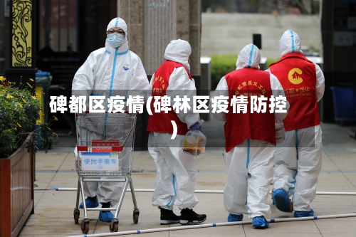 碑都区疫情(碑林区疫情防控)-第3张图片