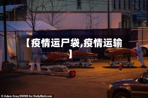 【疫情运尸袋,疫情运输】-第2张图片