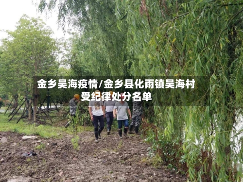 金乡吴海疫情/金乡县化雨镇吴海村受纪律处分名单-第2张图片