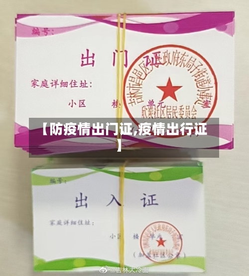 【防疫情出门证,疫情出行证】-第2张图片