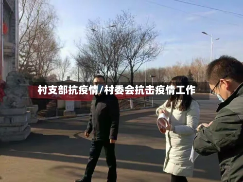 村支部抗疫情/村委会抗击疫情工作-第2张图片
