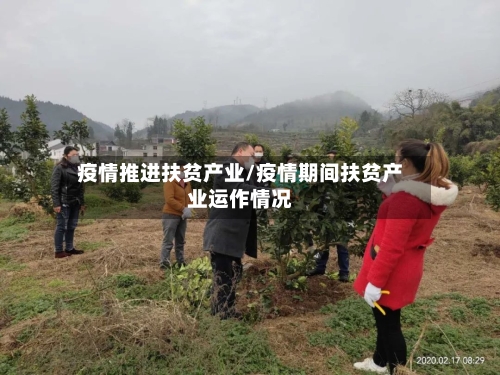 疫情推进扶贫产业/疫情期间扶贫产业运作情况-第3张图片
