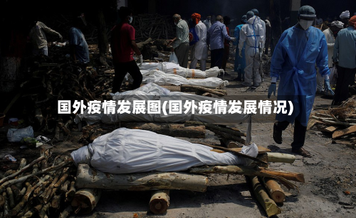 国外疫情发展图(国外疫情发展情况)-第2张图片