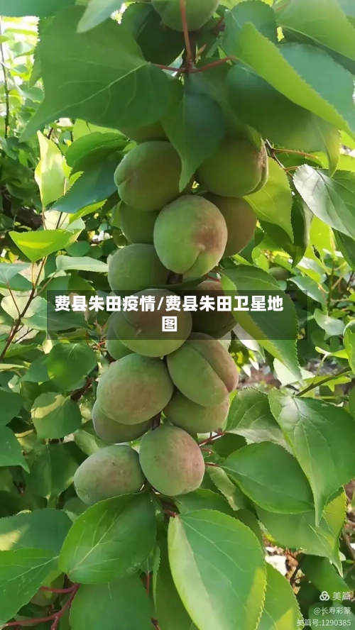 费县朱田疫情/费县朱田卫星地图-第2张图片