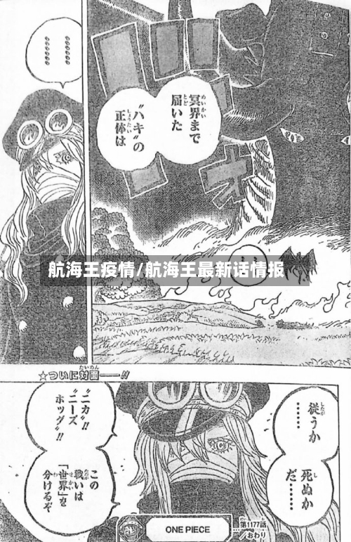 航海王疫情/航海王最新话情报-第3张图片