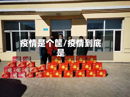 疫情是个筐/疫情到底是